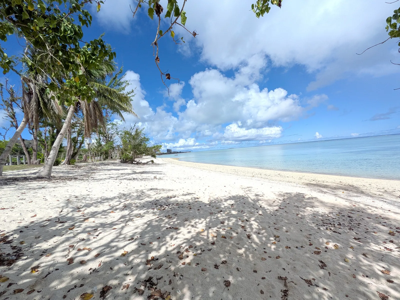 White sand and calm turquoise water at Paupau Beach, framed by coconut palms