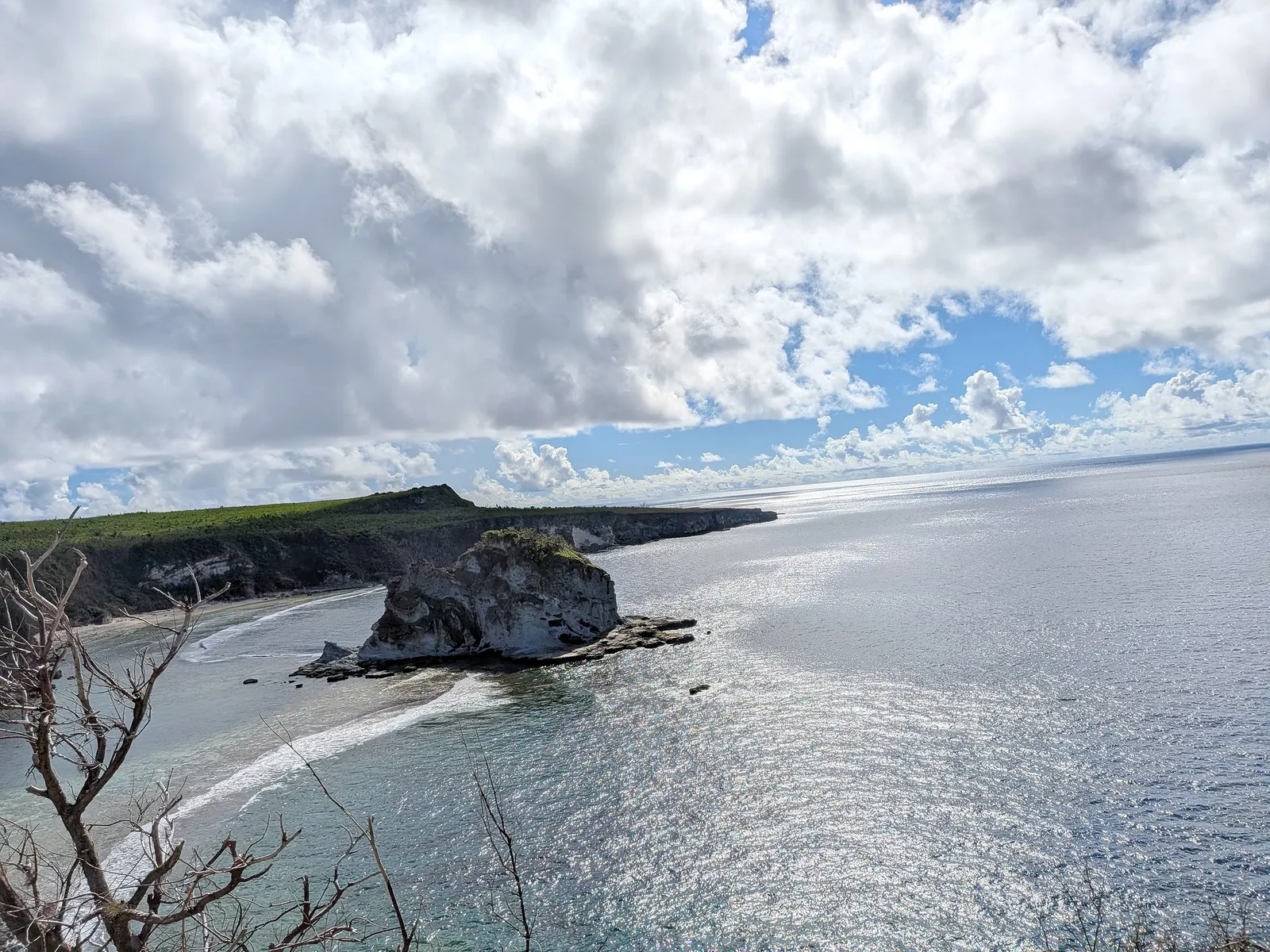 Saipan's northeastern coastline seen from Bird Island Lookout, limestone cliffs receding toward Marpi