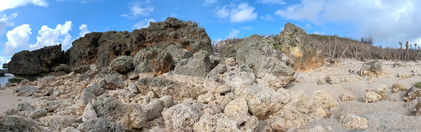 Panorama of the rocky shore at Unai Fanhang, from the limestone headland across to the storm-damaged palm line