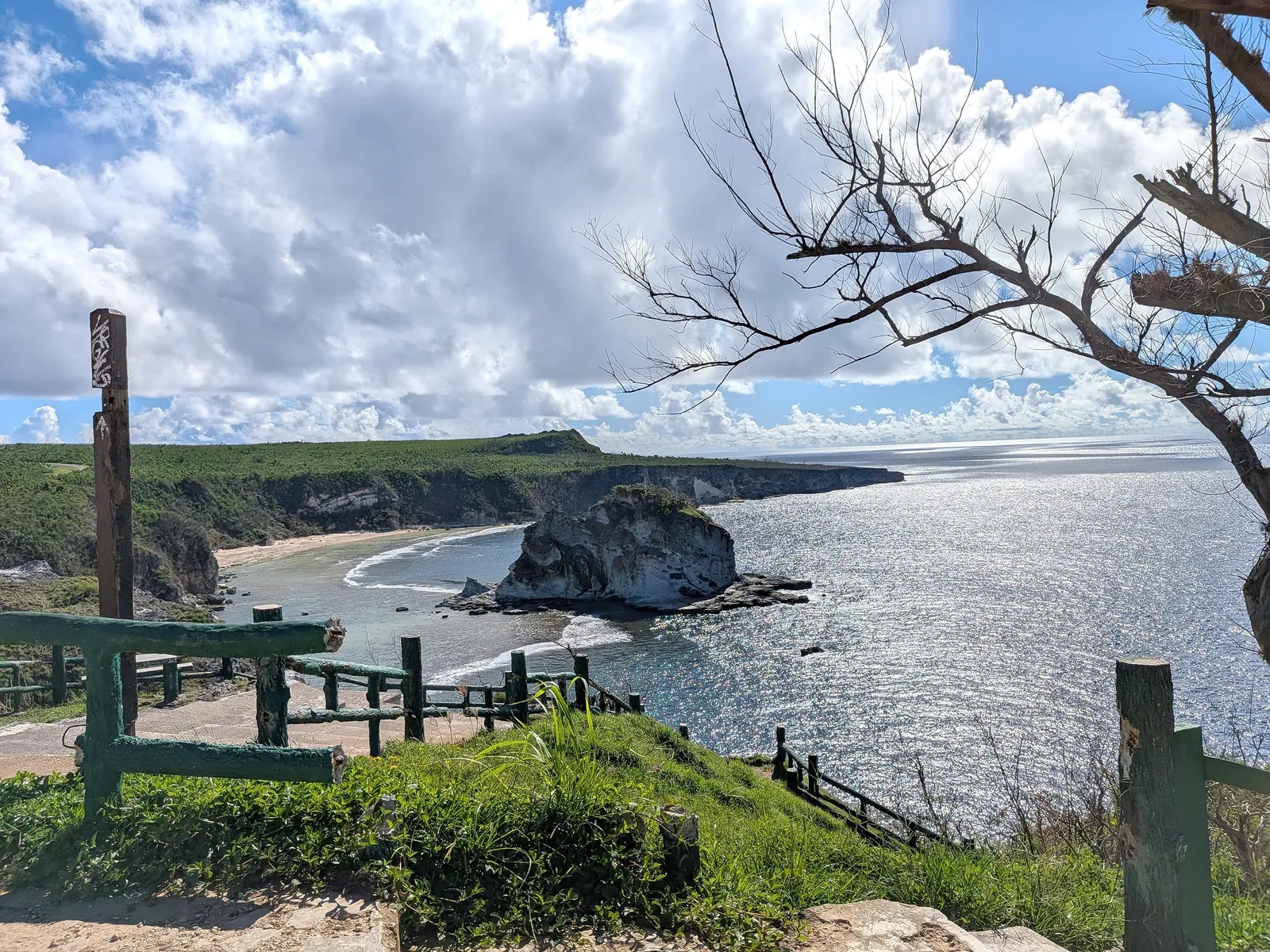 Bird Island framed by storm-bared branches and the weathered green railing of the lookout
