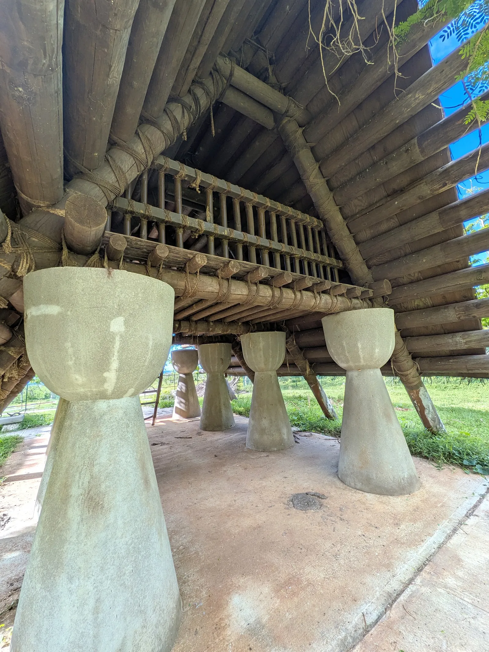 Underneath the replica latte hut at Kalabera Cave, looking up at the lashed timber roof structure between the latte stone pillars
