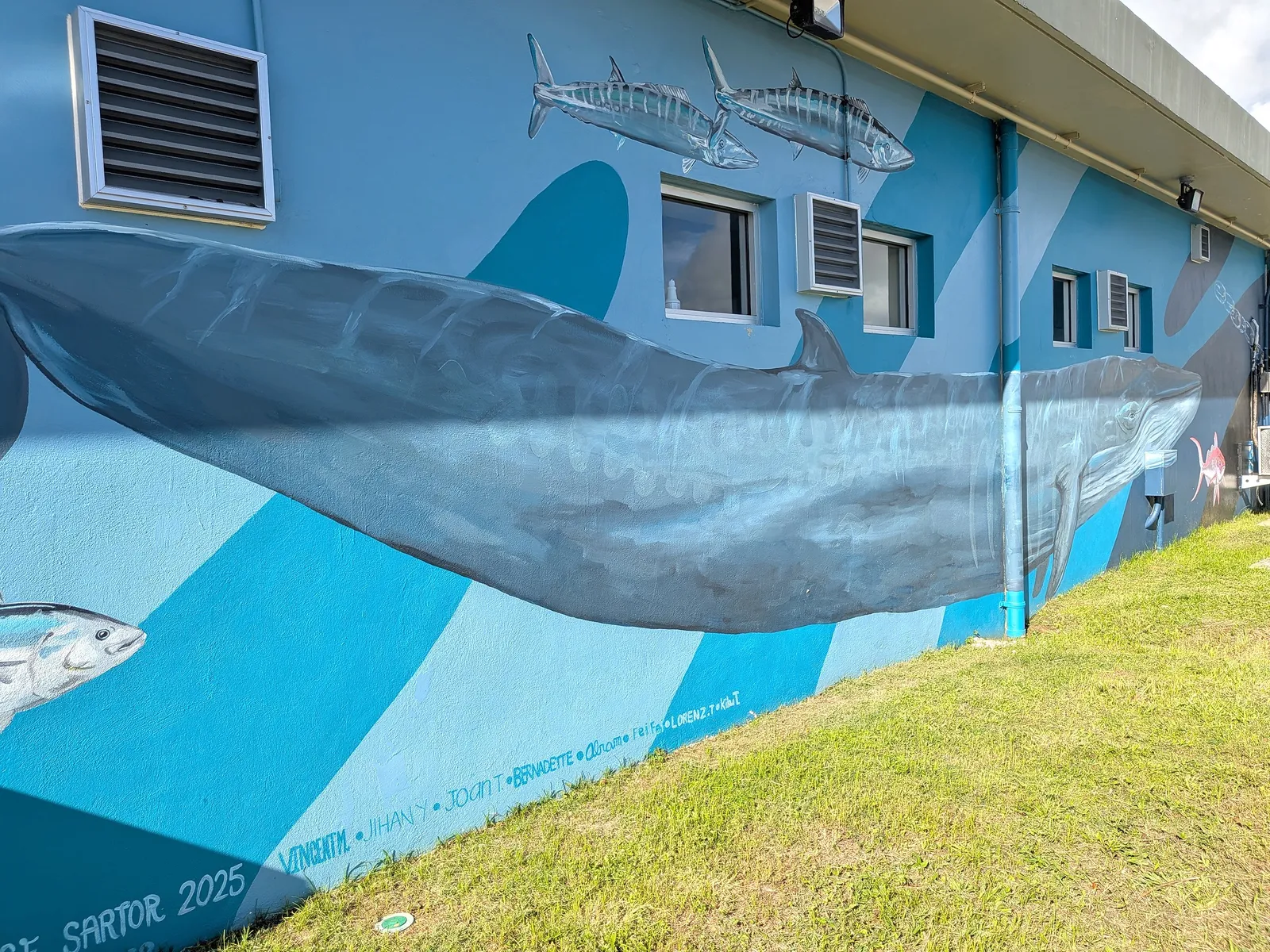 Close-up detail of a painted whale on the ocean-life mural at American Memorial Park